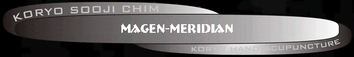 Magenmeridian
